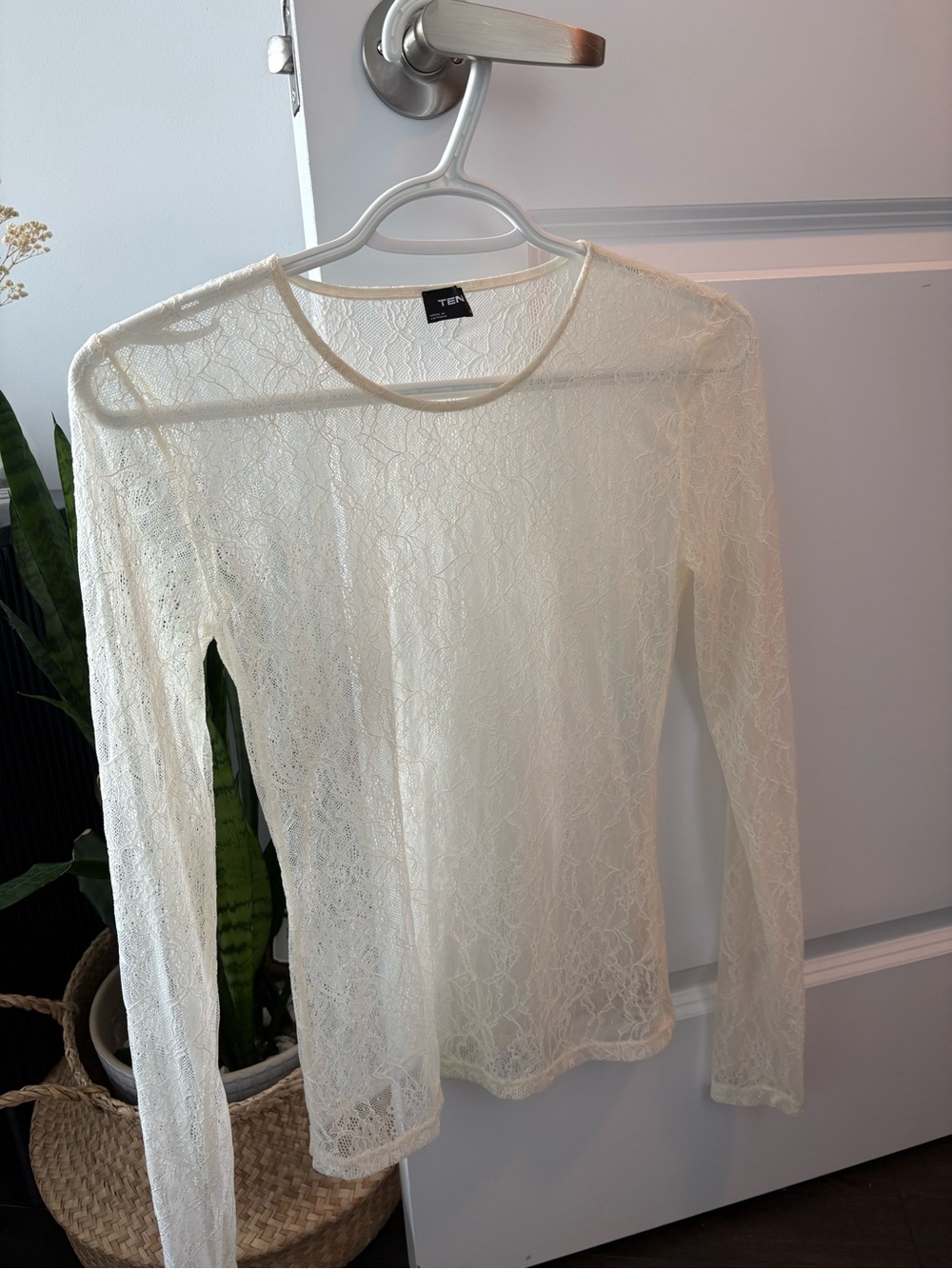 Aritizia Ten Sheer Lace Long-Sleeve Top in Cream